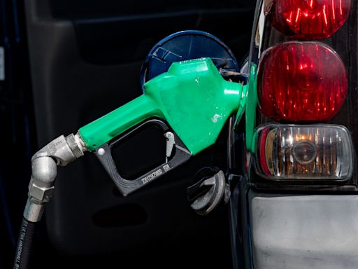 Malaysia must cut petrol subsidy to meet budget aim, World Bank says