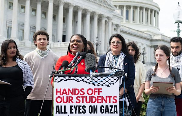 Democratic Reps. Cori Bush And Rashida Tlaib Speak Alongside Student Protesters