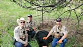 Colorado Parks and Wildlife officers help bear cub stuck in wire fence