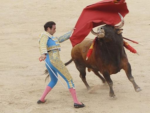 Priest Partners With PETA to Condemn Bullfighting, Calls on Pope Francis to Denounce It