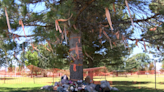 Albuquerque Indian School Cemetery at 4H Park to get a fence