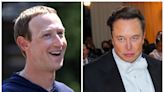 Elon Musk biographer Walter Isaacson says cage fight with Mark Zuckerberg won't happen: 'It's a metaphor'