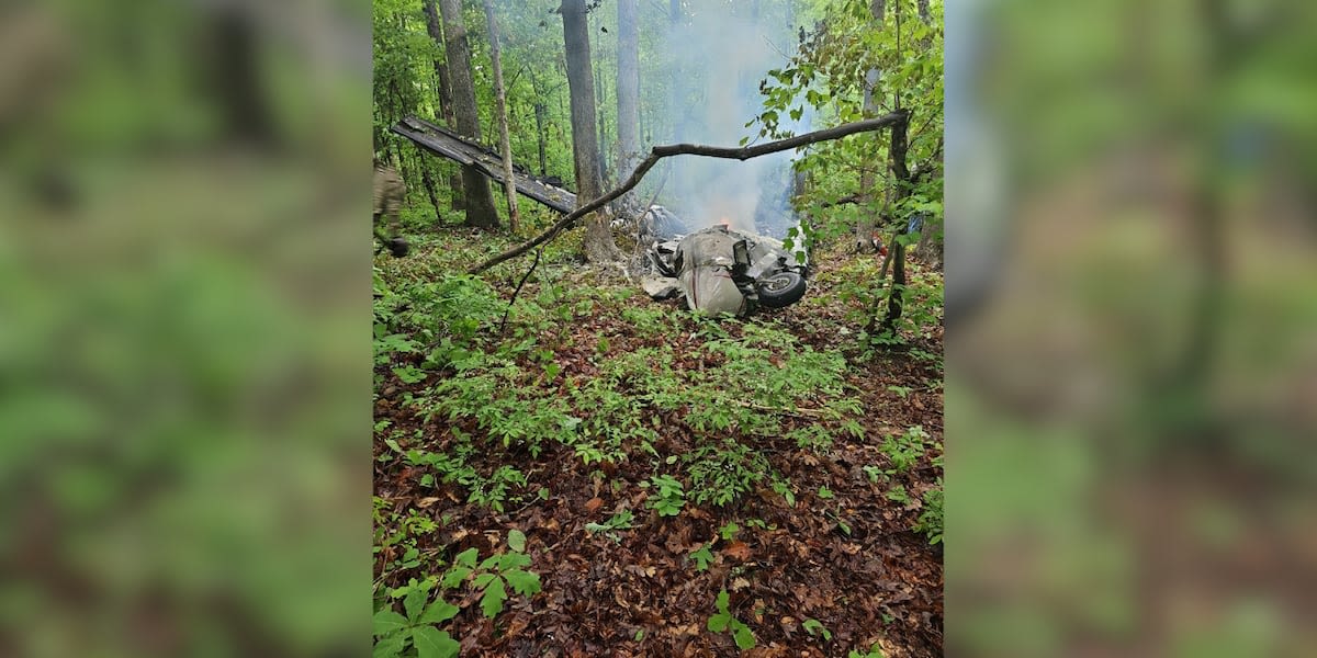 2 dead in Virginia plane crash en route to Georgetown County