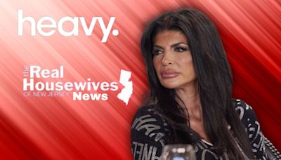 RHONJ Star Says Teresa Giudice Has Been ‘Programmed’ to Hate Her