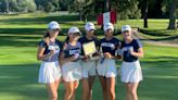 Delta wins Delaware County girls golf tournament, Wes-Del freshman wins match medalist