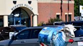 Shearly brilliant: Fiberglass sheep flock around Webster-area towns as part of art project