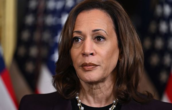 'Do a DNA test': Mike Lindell TV host blames Kamala Harris' Black ethnicity on demons