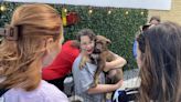 Bright Eyes Dog Rescue hosts Patio Party with Puppies