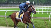 Rain dance? Wet track on Mystik Dan's Preakness wish list