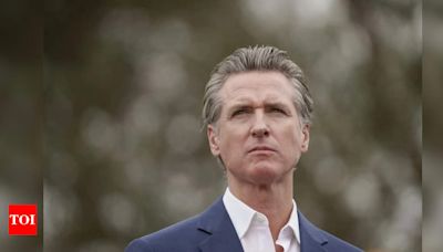 California governor vetoes AI bill: What it means for Google, Microsoft, Meta, OpenAI and other tech giants - Times of India