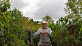 Café Guatemalteco: Explorando el Vínculo entre la Tradición Cafetalera y el Desarrollo Económico