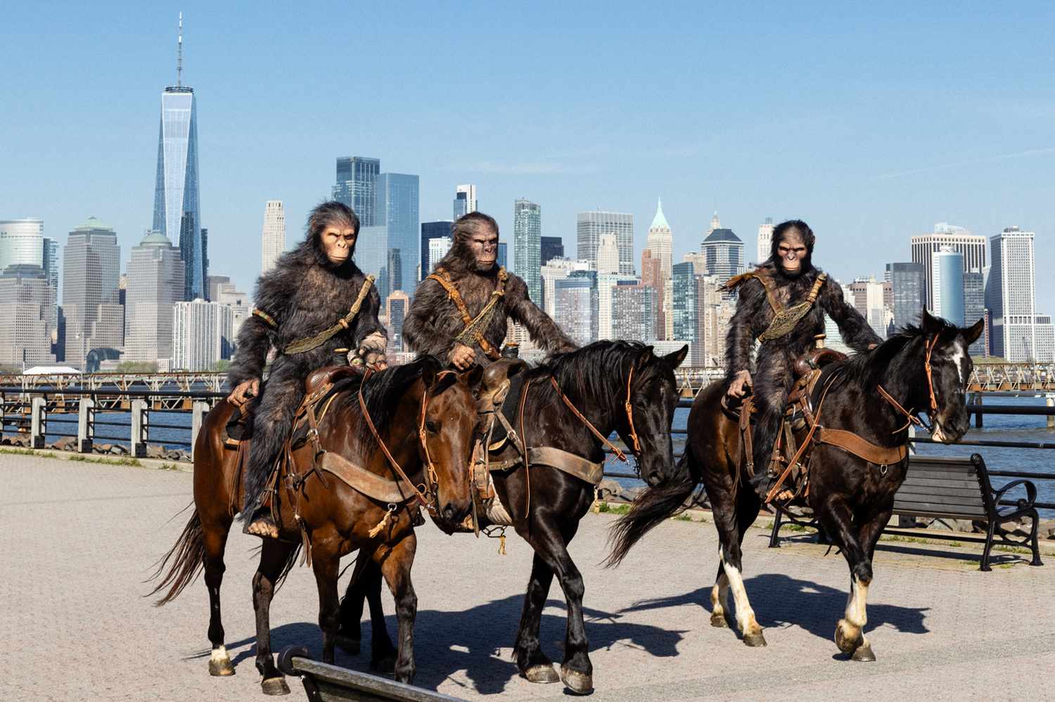 Apes on Horseback Invade N.Y.C. in Wild Marketing Campaign for New Sequel - See the Photos