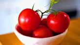 Keep tomatoes fresh for 10 days or longer without affecting the flavour