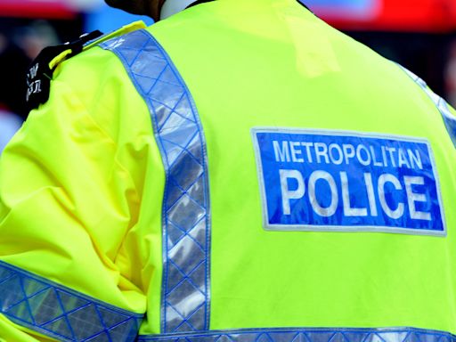 Murder probe after stabbing in London park