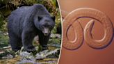 Bear meat for dinner? Follow these steps to prevent parasitic infection, CDC says