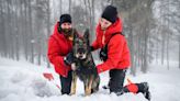 How Technology Helps Avalanche Dogs Do Their Jobs