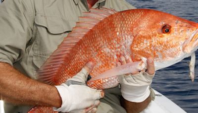 Two Texas towns among top Gulf spots for red snapper fishing
