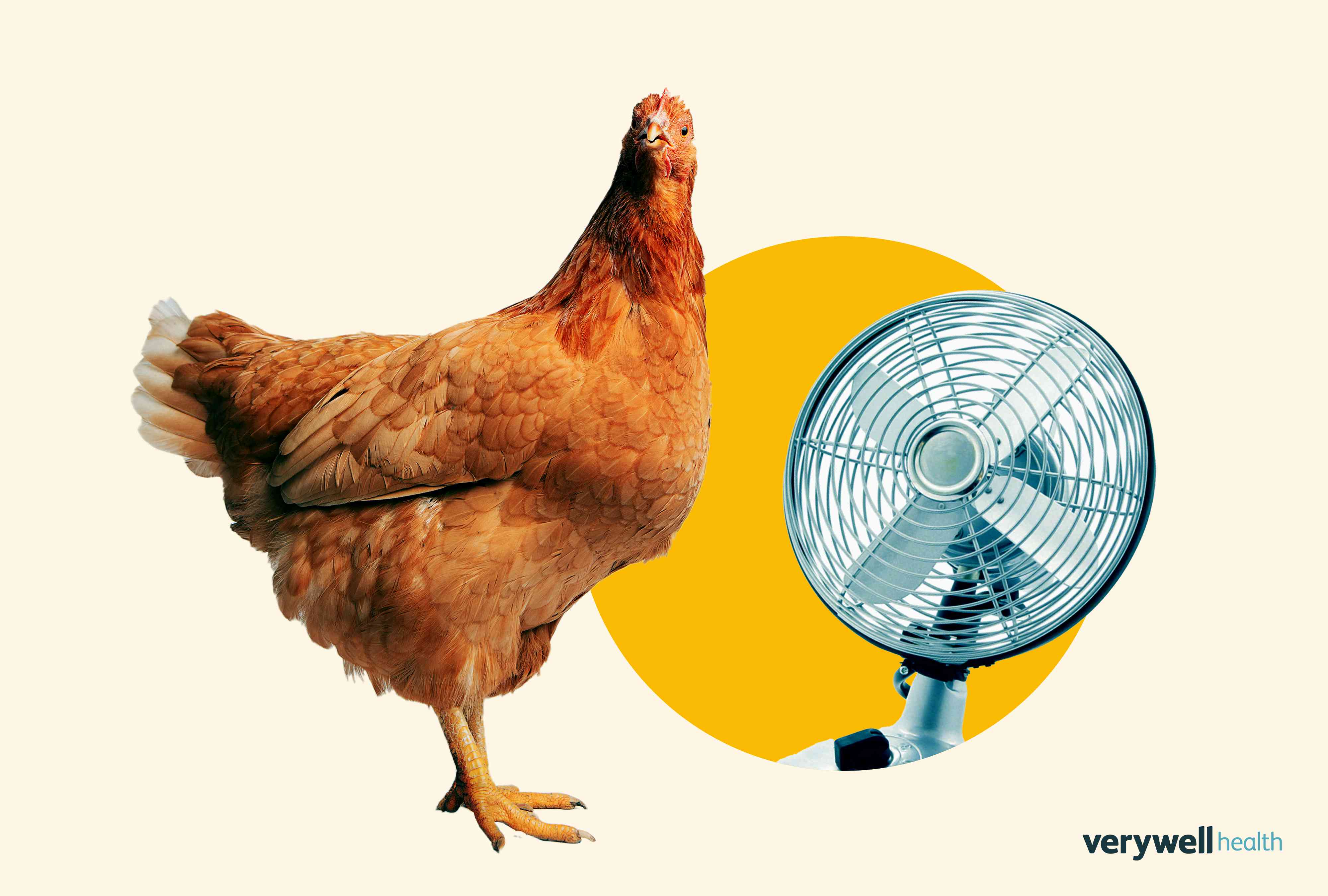 Is Extreme Heat Helping to Spread Bird Flu?