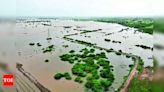 Villagers concerned about flooding risks in SMC's plan at Umber site | Surat News - Times of India