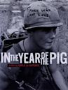 In the Year of the Pig
