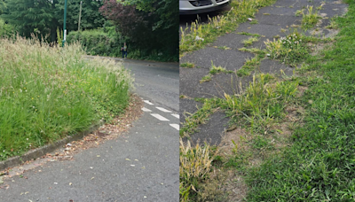 Residents frustrated by delays to grass cutting