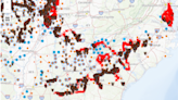 Cicada mania: What to know about the 13-year emergence of Brood XIX (19)