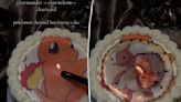 Burn-away cakes are hot on social media: what are they and how do they work?