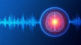 Neuromodulation to see market growth, pioneering technology for epilepsy