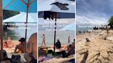 One single person started cleaning up trash on a beach — and what happened next will restore your faith in humanity