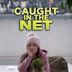 Caught in the Net (2020 film)