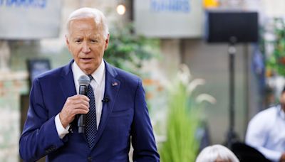 Cracks continue to surface in Michigan Dem support for Biden as the nominee