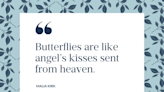 53 Butterfly Quotes That Prove Change Can Be Beautiful