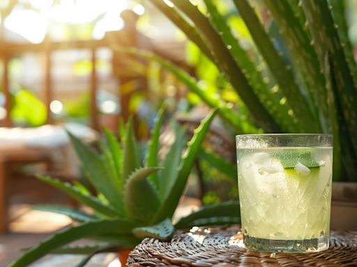 Cómo preparar el jugo detox de aloe vera y limón que te ayudará a limpiar tu organismo