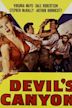 Devil's Canyon (1953 film)