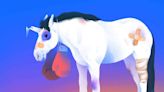 Former Unicorns Are Bouncing Back From Bankruptcy