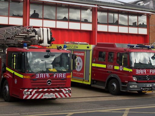 Dogs set house on fire by turning cooker on