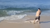 Shocking video shows New York man wrestling shark out of water on Long Island beach as onlooker screams