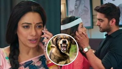 Dog Bites Yeh Rishta Kya Kehlata Hai Director On Rupali Ganguly’s Anupamaa Set - Exclusive