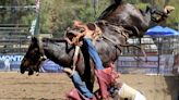 California rodeo animals face violent and deadly casualties: Broken backs, legs and skulls