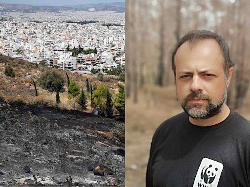 ‘They don't work in the communities’: Why prevention is the missing piece in Greece’s wildfire fight