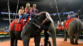 'It's just time': Hadi Shrine Circus cuts elephants from its show