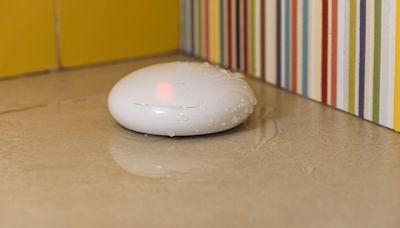 The Secret Hero of Home Safety Is the Humble Leak Detector