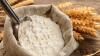 Gâteau, pâte brisée, crêpe : par quoi remplacer la farine de blé dans les recettes ?