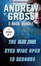 Andrew Gross - Thriller Bundle