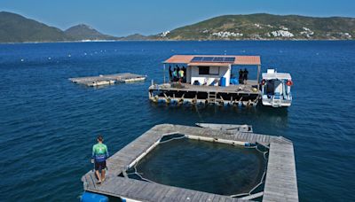 Pesca artesanal impulsiona economia sustentável na Região dos Lagos