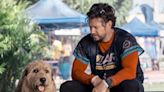 Stream It Or Skip It: ‘Arthur the King’ on VOD, a sports drama that stages an epic scruff-off between Mark Wahlberg and a very cute dog