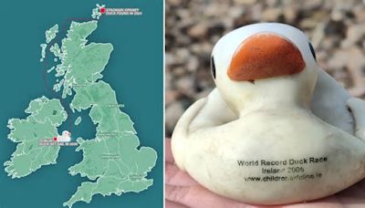 Rubber duck washes up on Scottish beach 18 years after it was released in Ireland