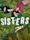 Sisters (Australian TV series)
