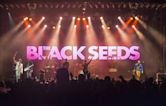 The Black Seeds