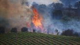 Fogo em Zamora está controlado, mas em Navarra tornou-se imprevisível pelo vento